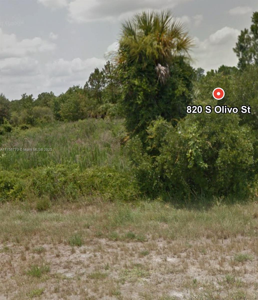 820 S Olivo St, Clewiston, Florida image 2