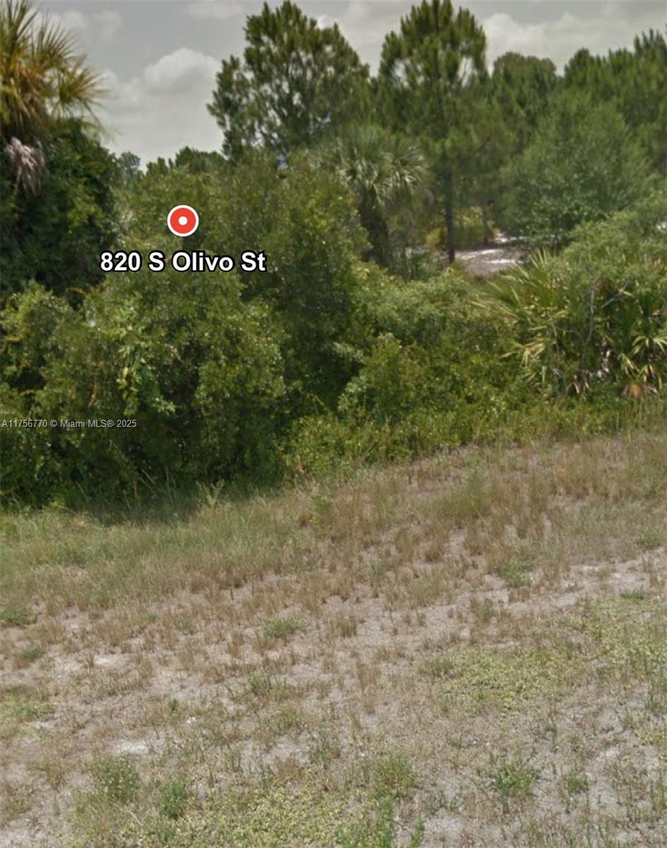 820 S Olivo St, Clewiston, Florida image 4