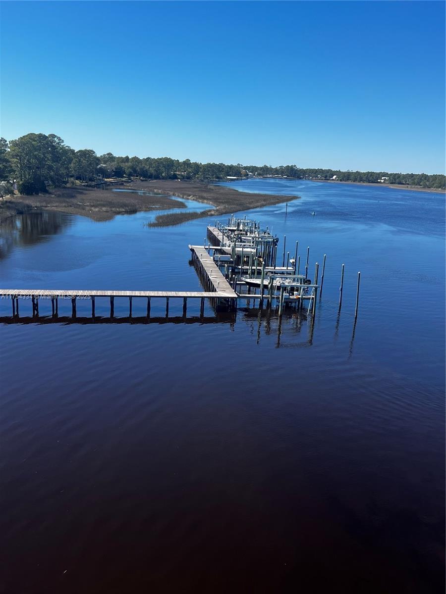 105 Anglers Harbor Ct, Carrabelle, Florida image 1