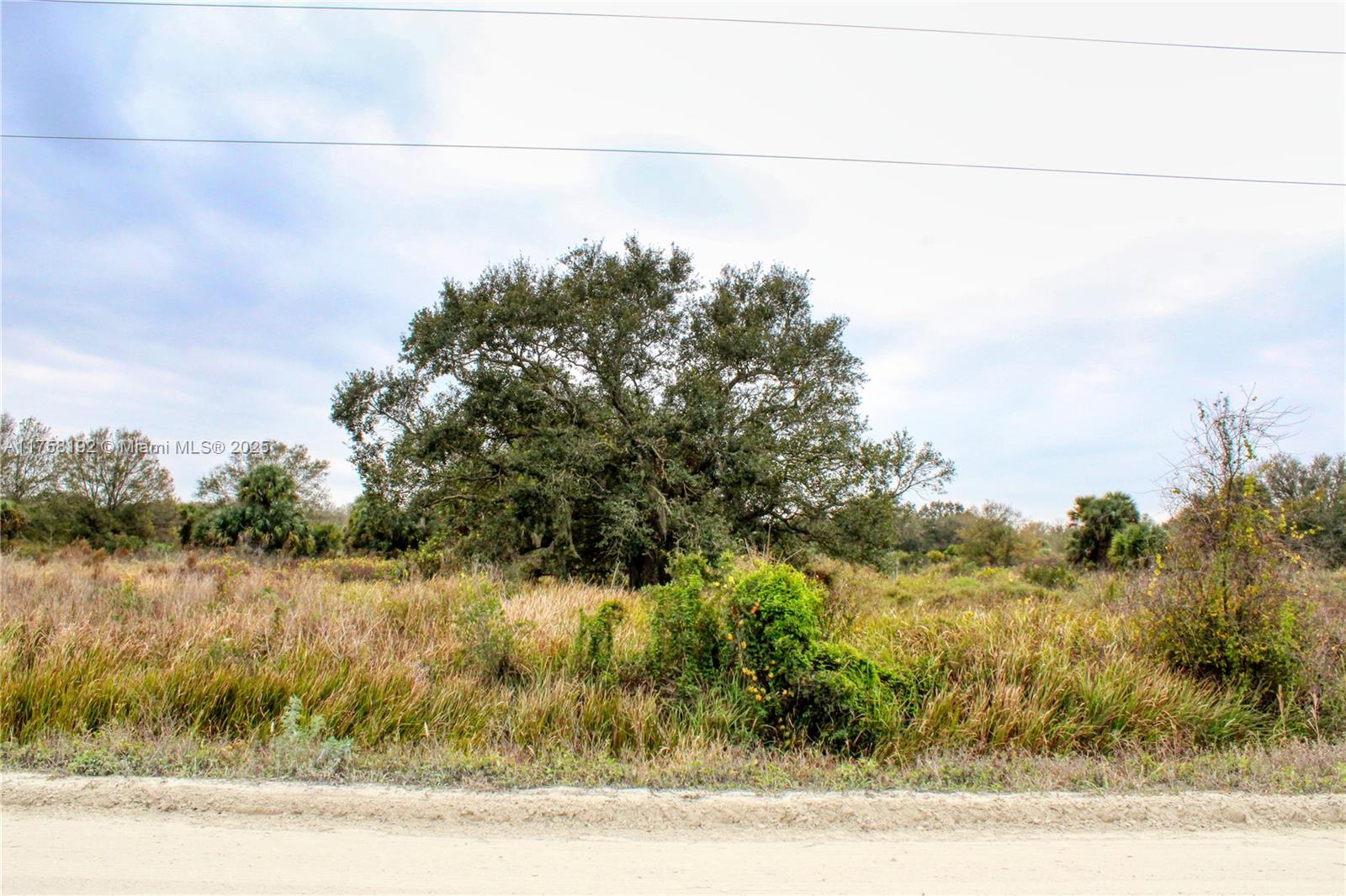 19984 NW 272nd, Okeechobee, Florida image 7