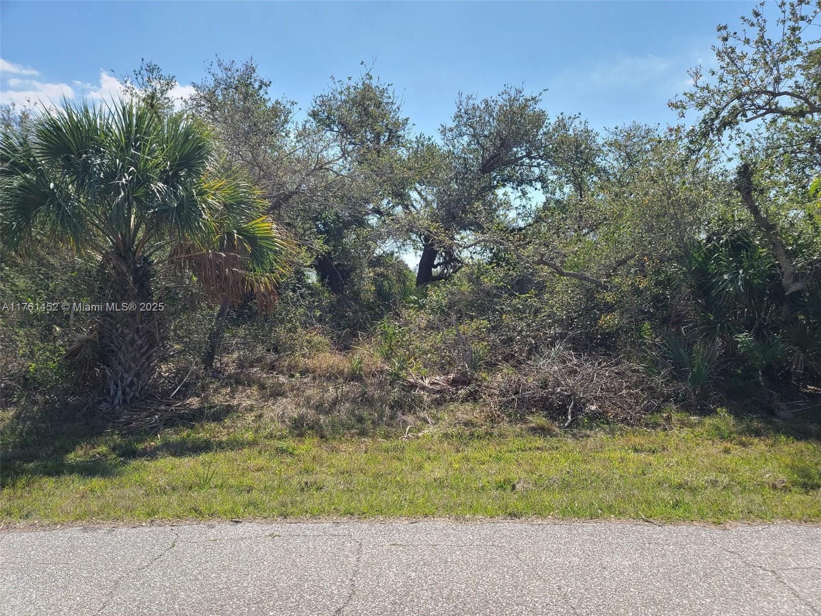 12133 Lenglen Ave, Port Charlotte, Florida image 1