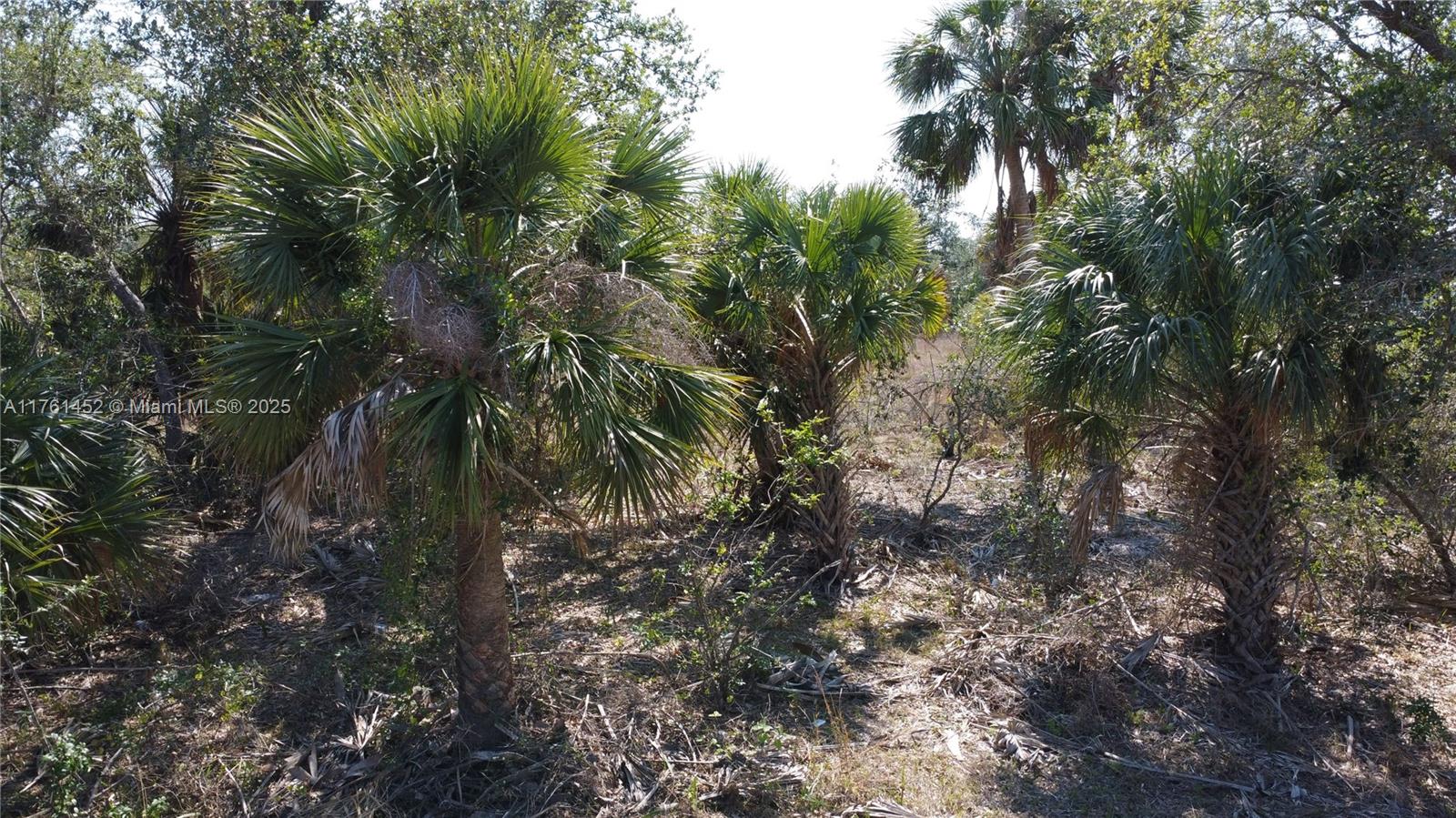 12133 Lenglen Ave, Port Charlotte, Florida image 23