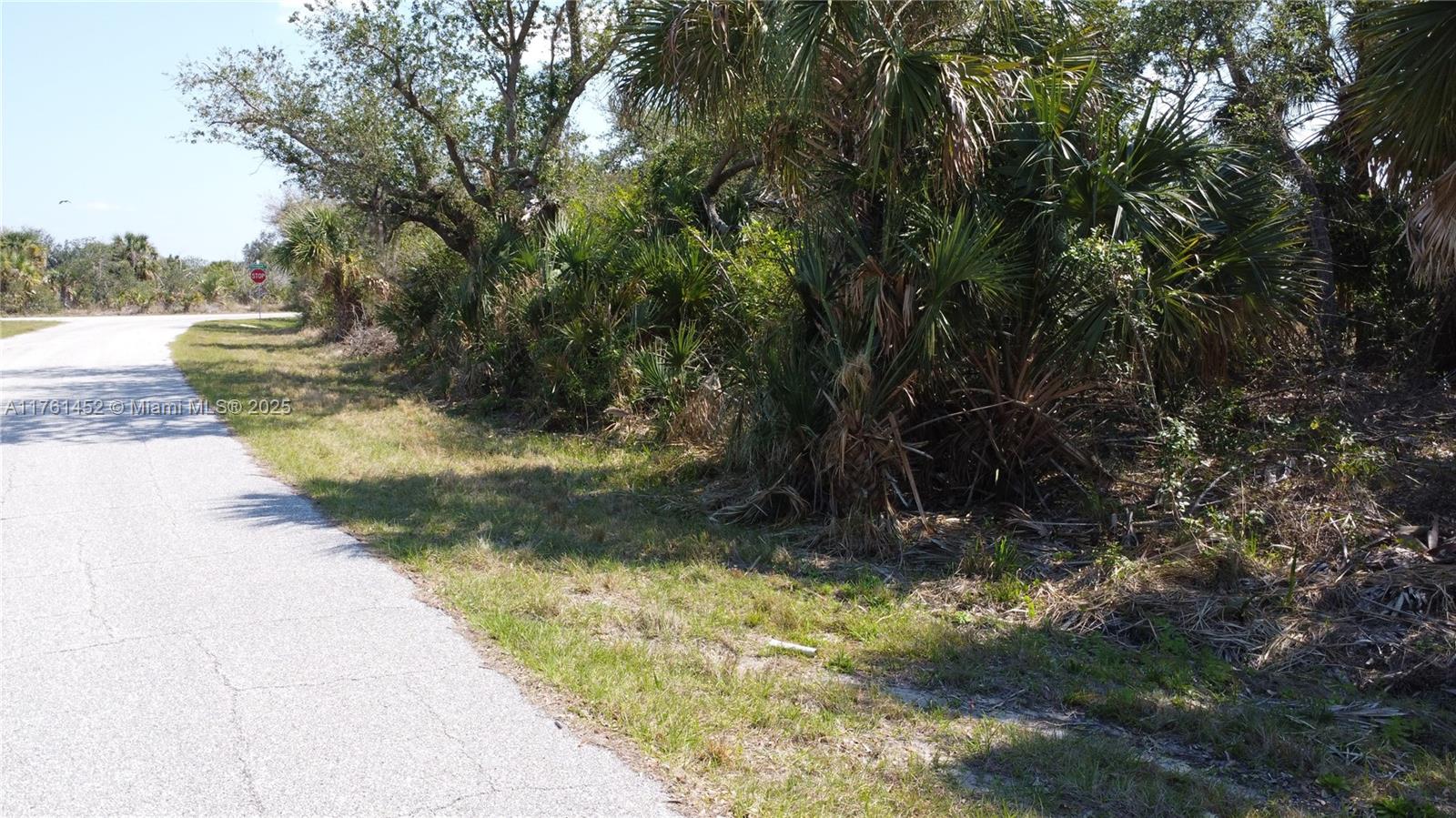 12133 Lenglen Ave, Port Charlotte, Florida image 26