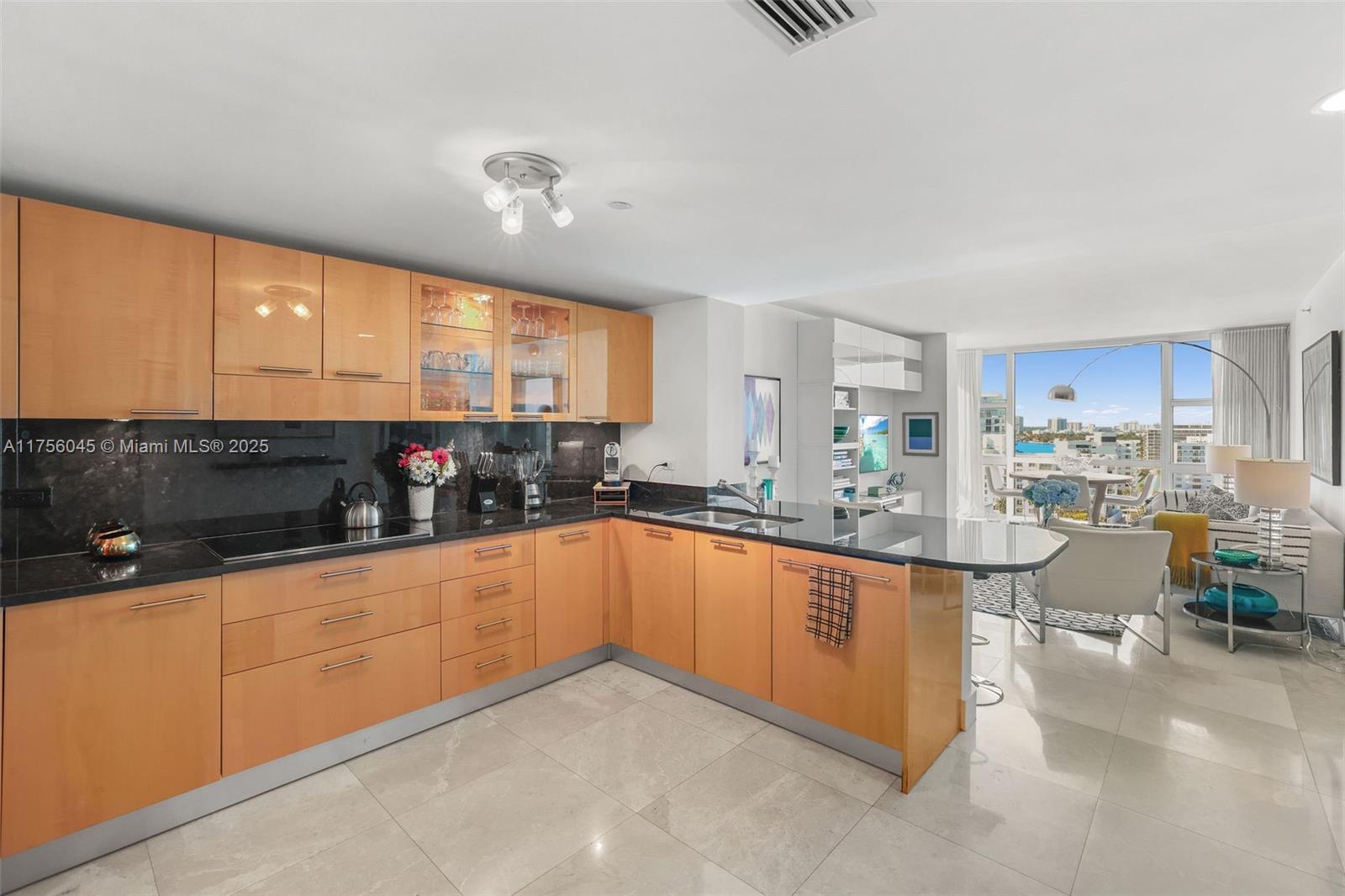 6801 COLLINS AV DOOR# 1102 #(LEGAL #1112), Miami Beach FL 33141