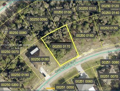 806 Grenada Ave, Lehigh Acres, Florida image 1