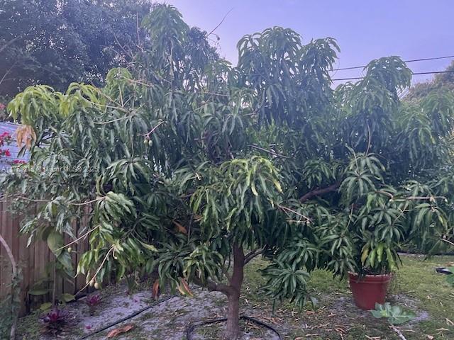 2703 Madison St, Hollywood, Florida image 19