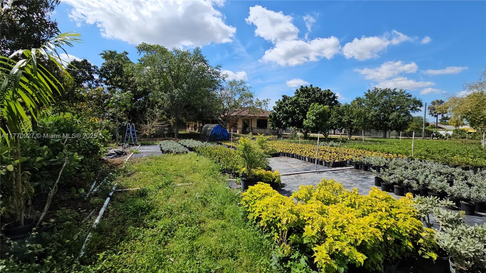 Listing Photo 18
