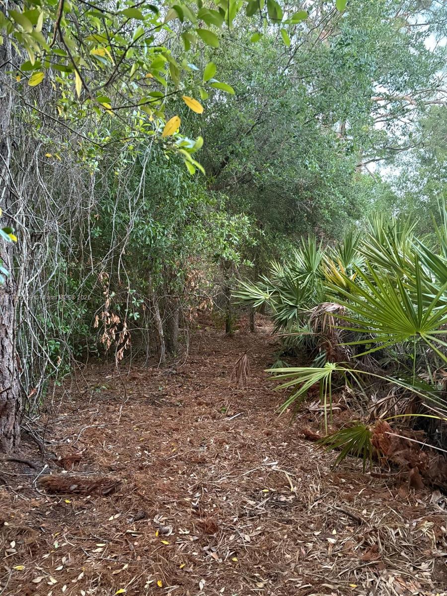 2402 Tampa Ave, Clewiston, Florida image 3