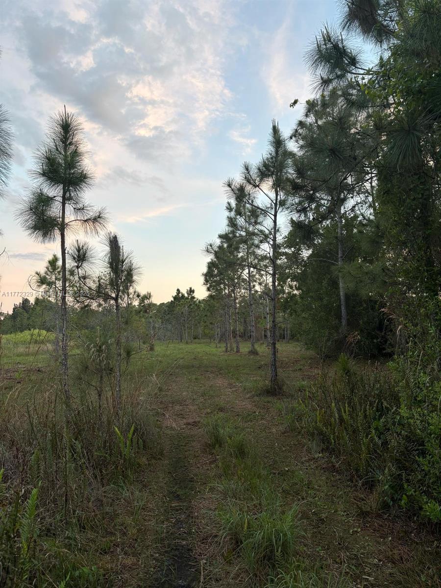2402 Tampa Ave, Clewiston, Florida image 5