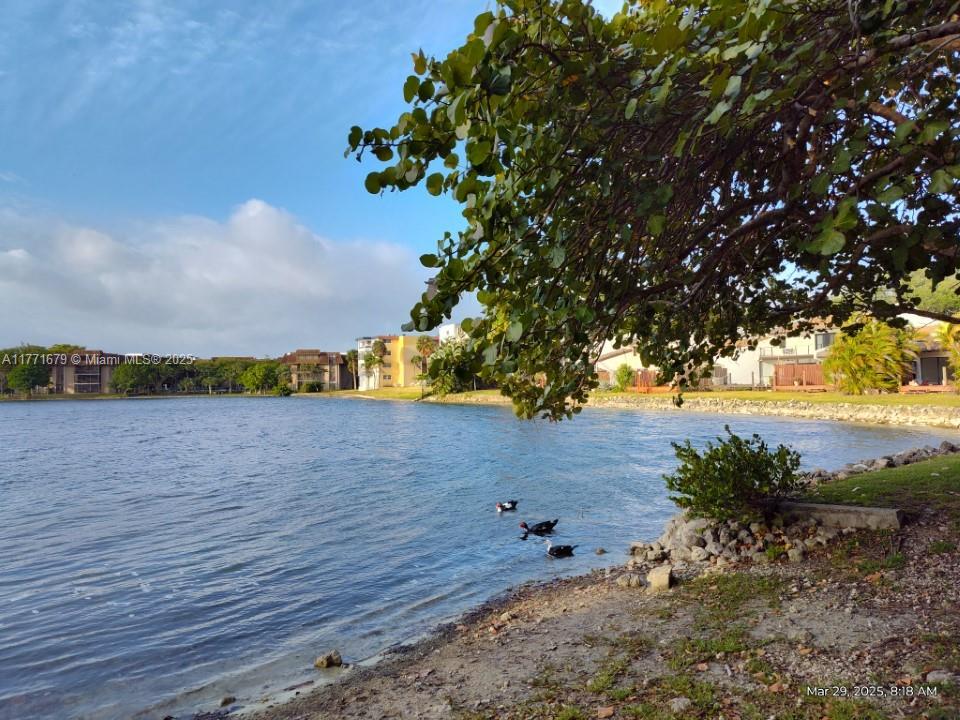 594 NE 199th Ter #4Y For Sale A11771679, FL