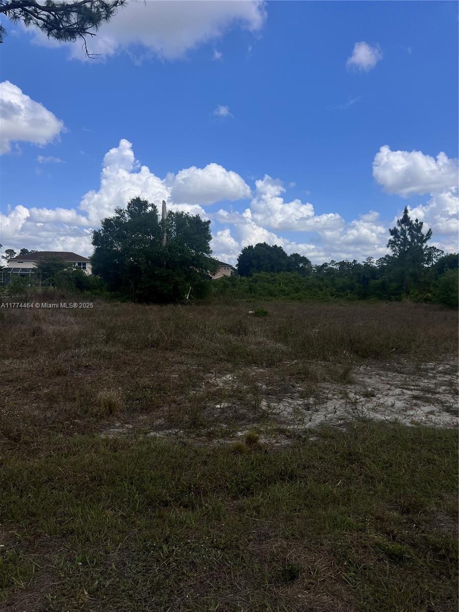 602 Moore Ave, Lehigh Acres, Florida image 3