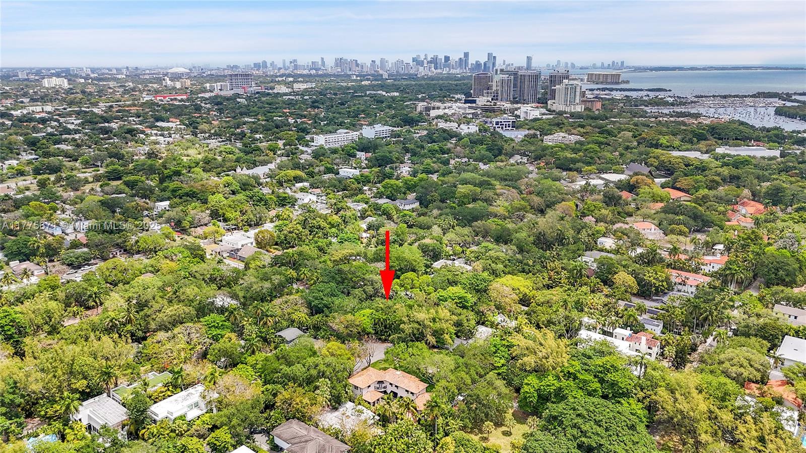 3609 Avocado Ave, Miami, Florida image 11