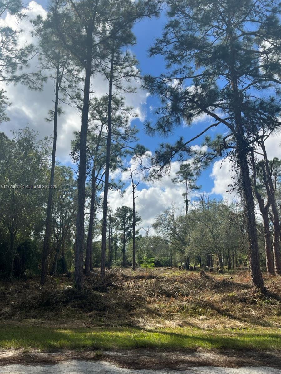 712 Woodland Blvd, Clewiston, Florida image 14