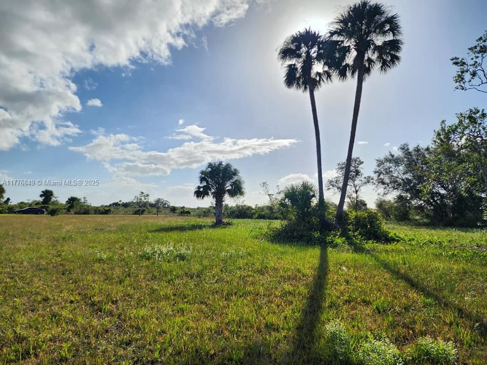 18717 NW 258 St, Okeechobee, Florida image 15