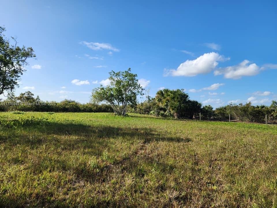18717 NW 258 St, Okeechobee, Florida image 8