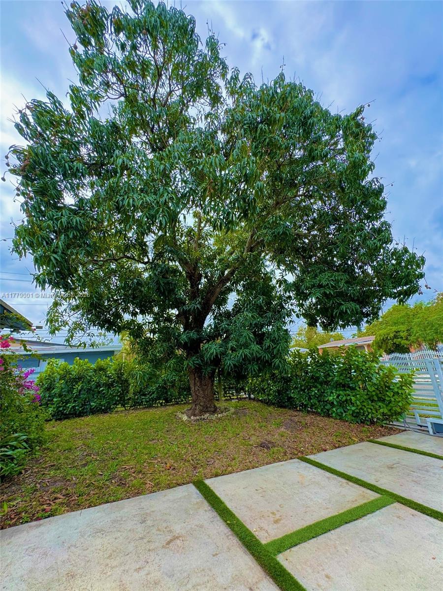 12685 NW Miami Ct, North Miami, Florida image 11