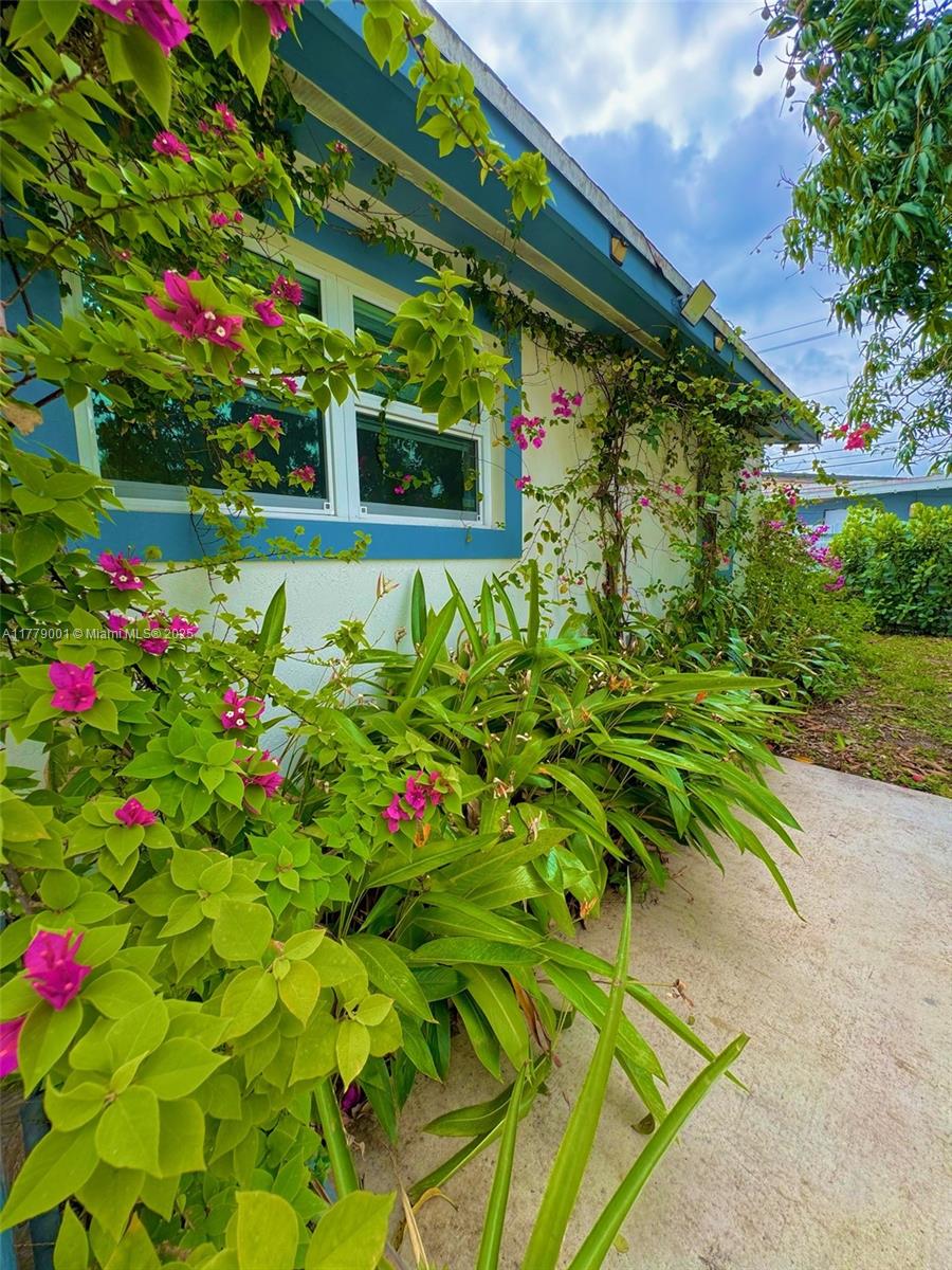 12685 NW Miami Ct, North Miami, Florida image 6