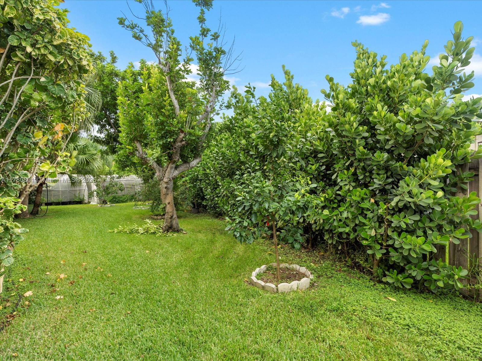 16621 Royal Poinciana Ct, Weston, Florida image 29