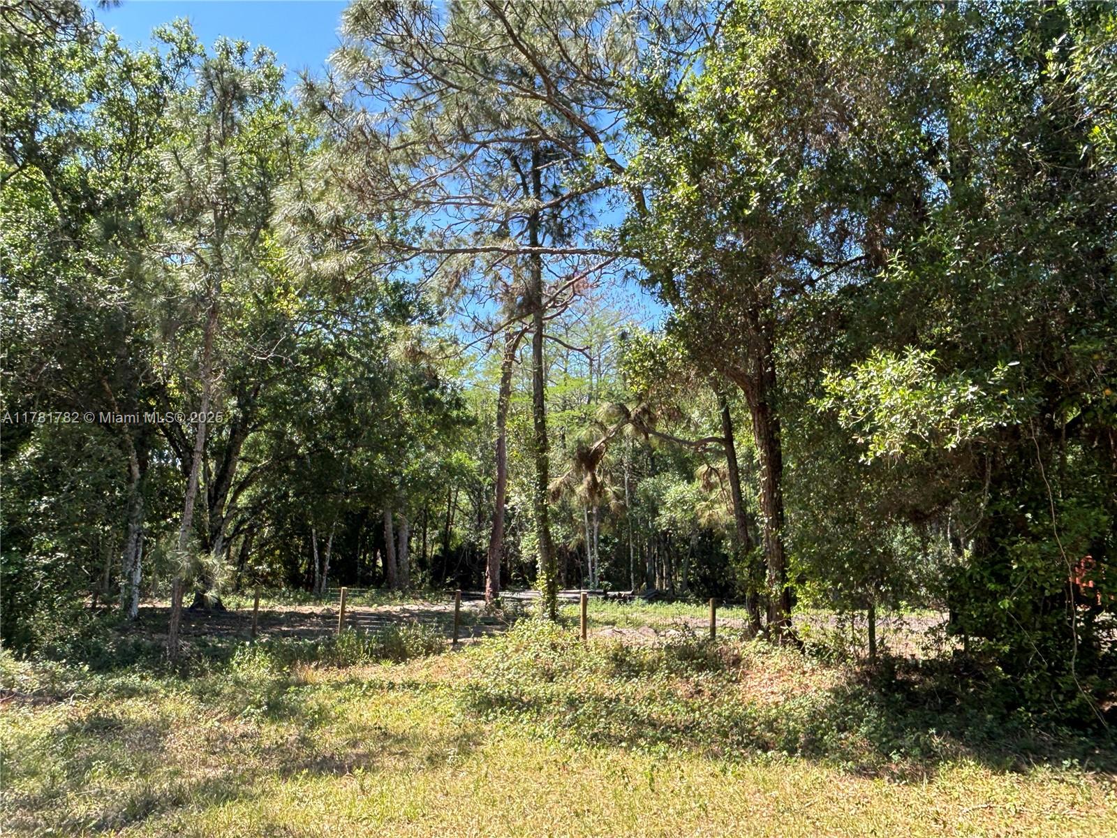 165 Taft Blvd, Clewiston, Florida image 10