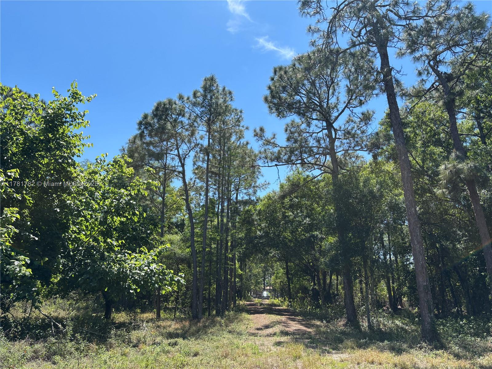 165 Taft Blvd, Clewiston, Florida image 11