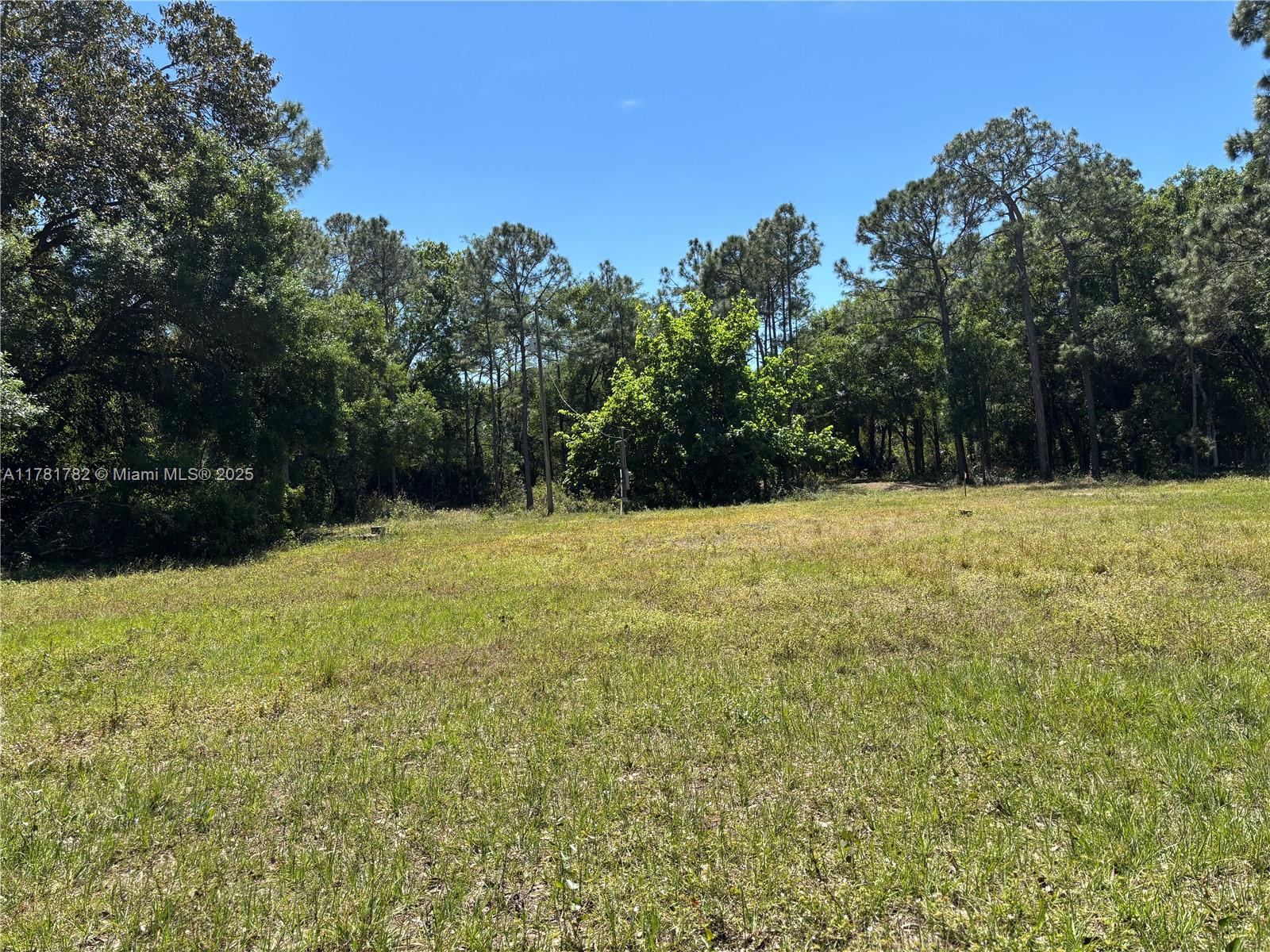 165 Taft Blvd, Clewiston, Florida image 12