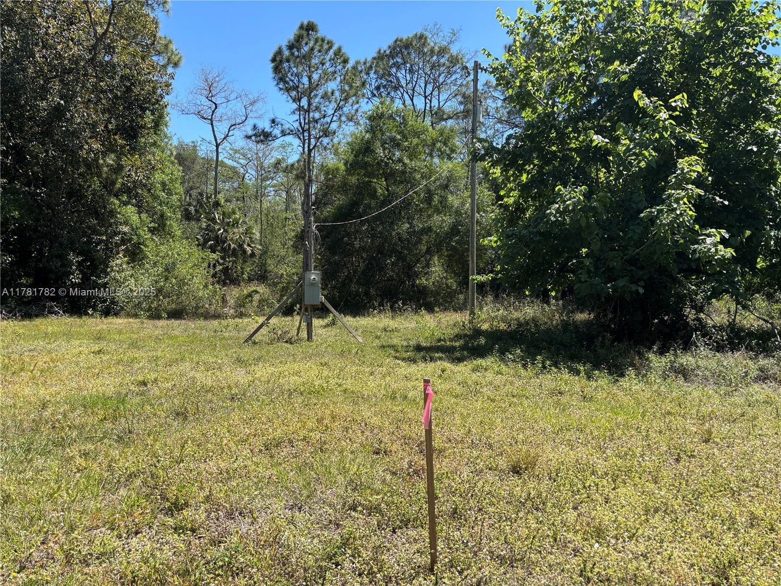 165 Taft Blvd, Clewiston, Florida image 13