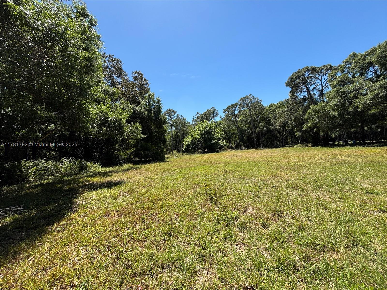 165 Taft Blvd, Clewiston, Florida image 5