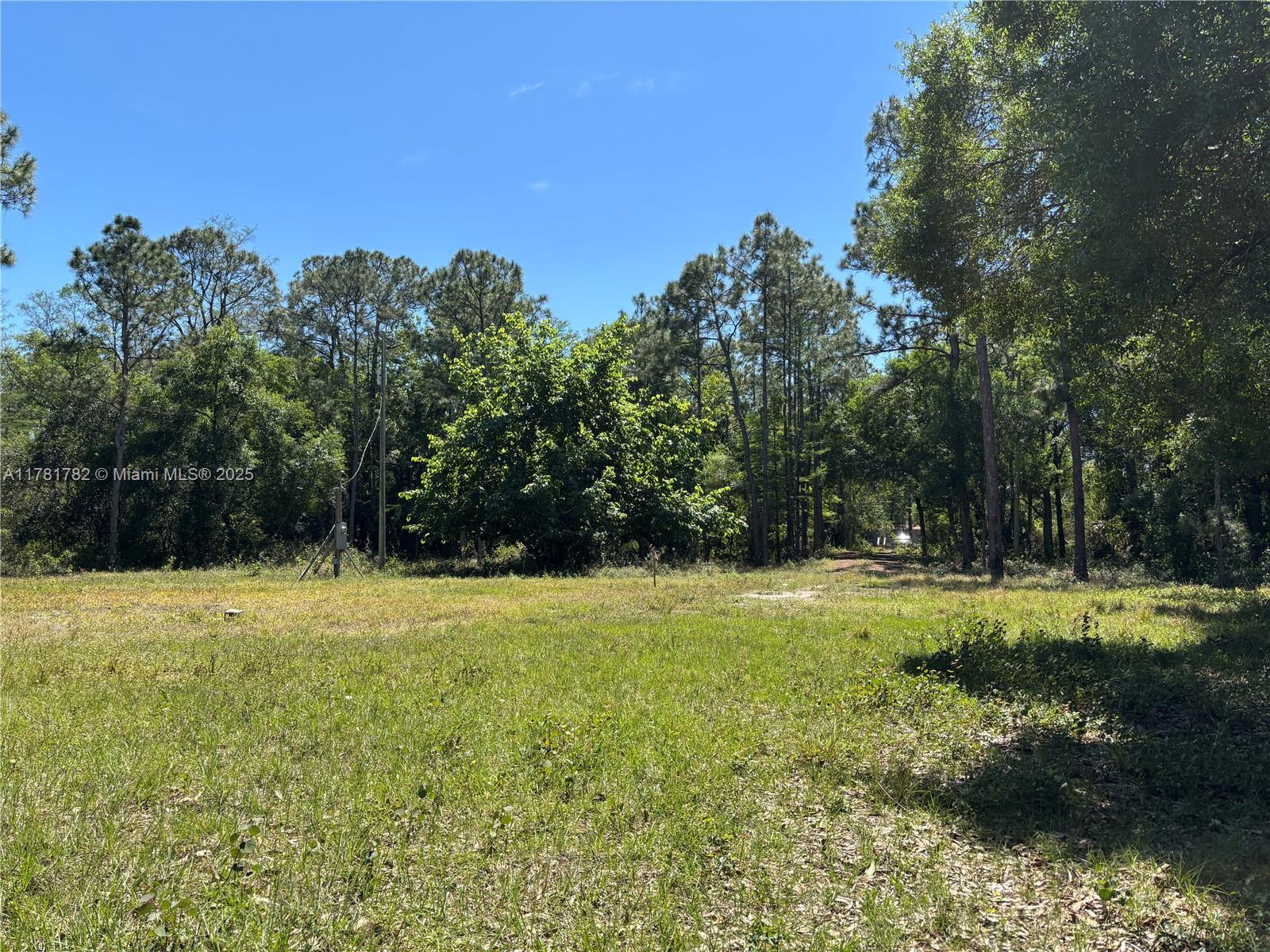 165 Taft Blvd, Clewiston, Florida image 6