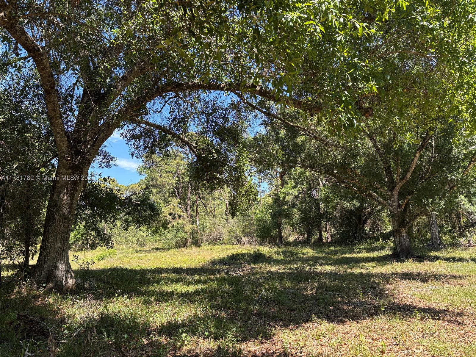 165 Taft Blvd, Clewiston, Florida image 8
