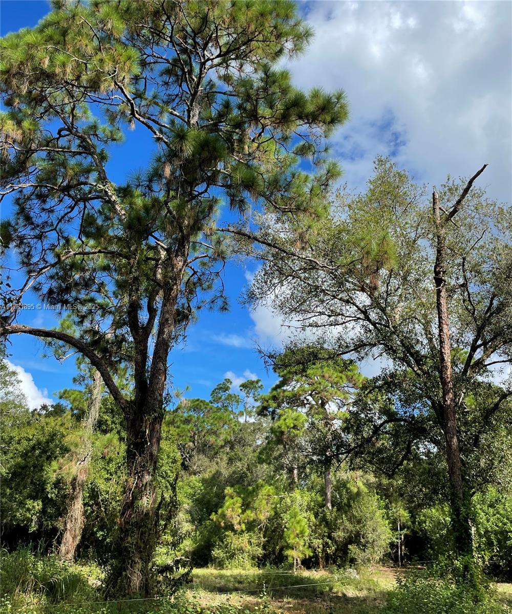 161 Taft Blvd, Clewiston, Florida image 6