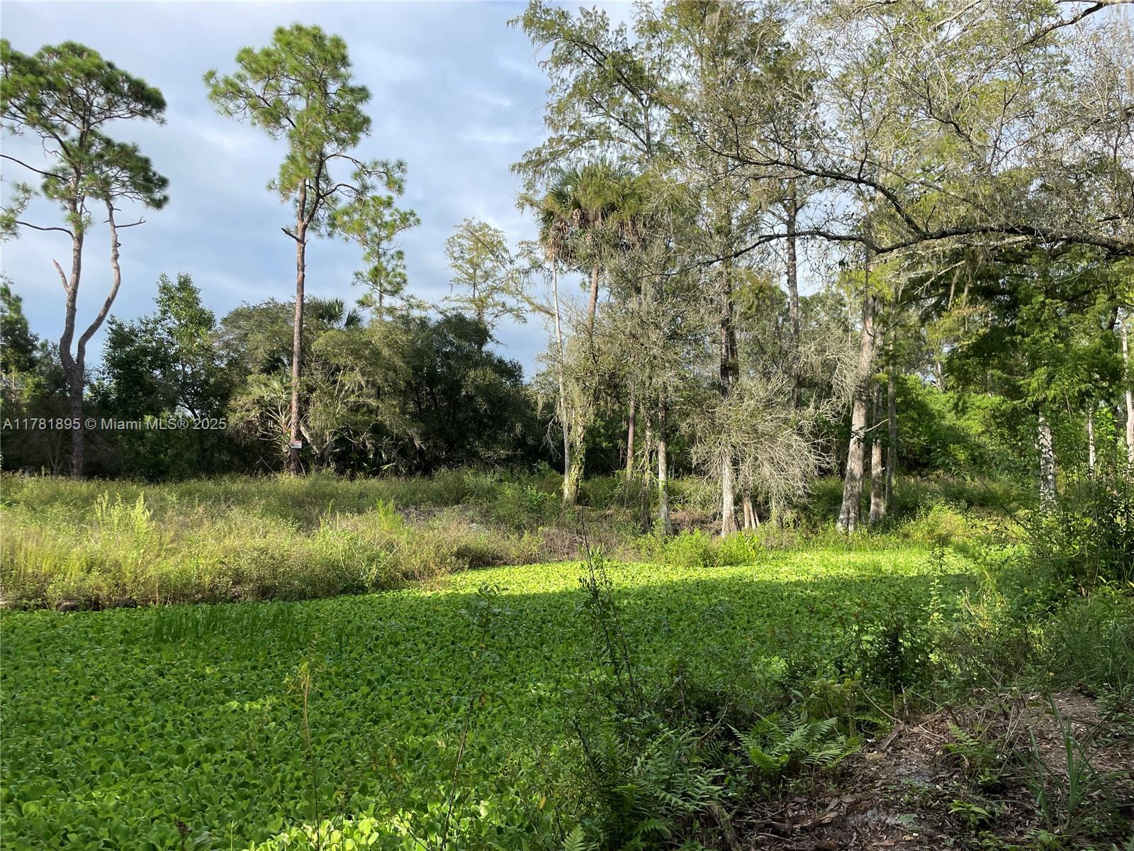 161 Taft Blvd, Clewiston, Florida image 7