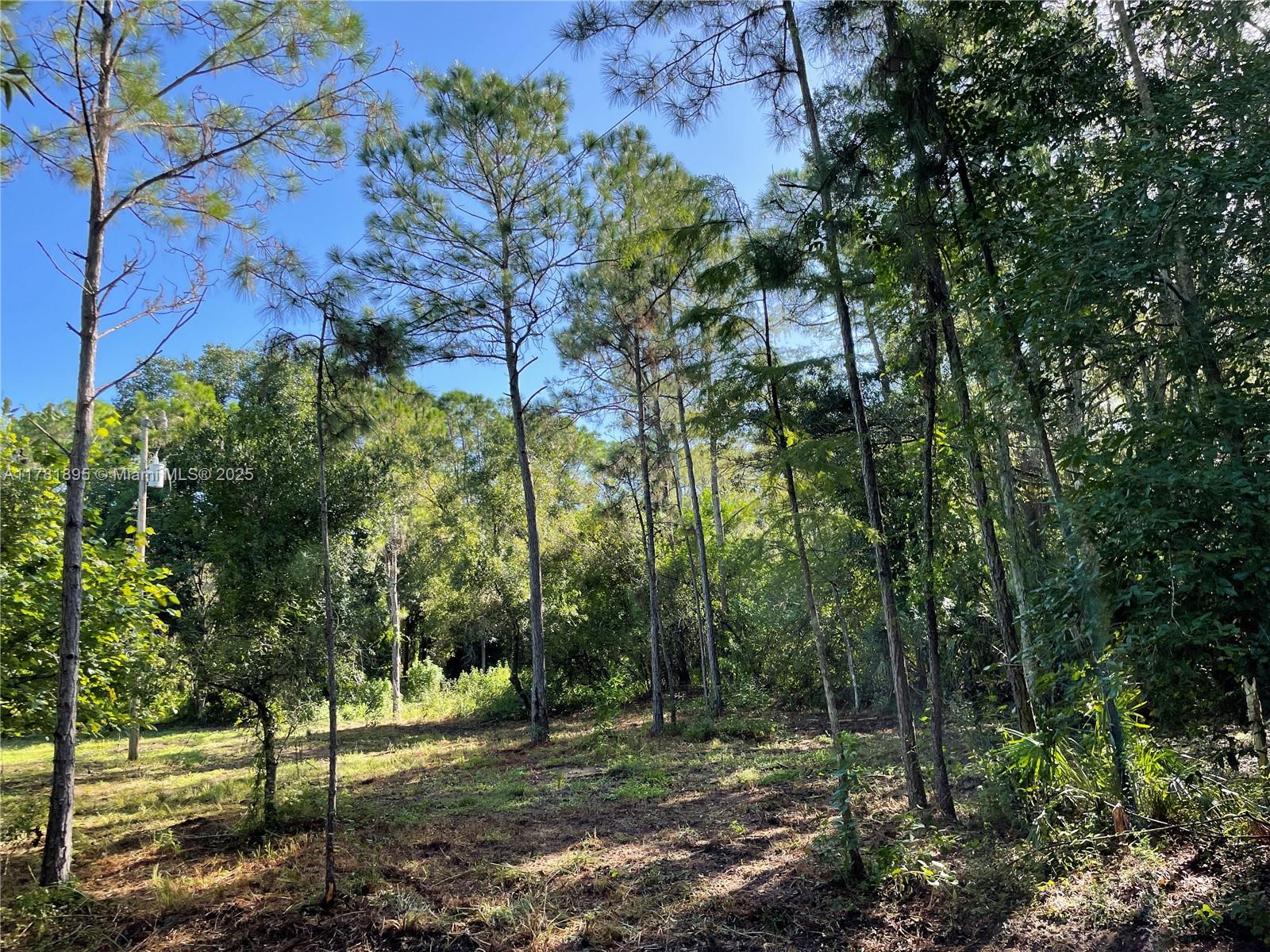 161 Taft Blvd, Clewiston, Florida image 9