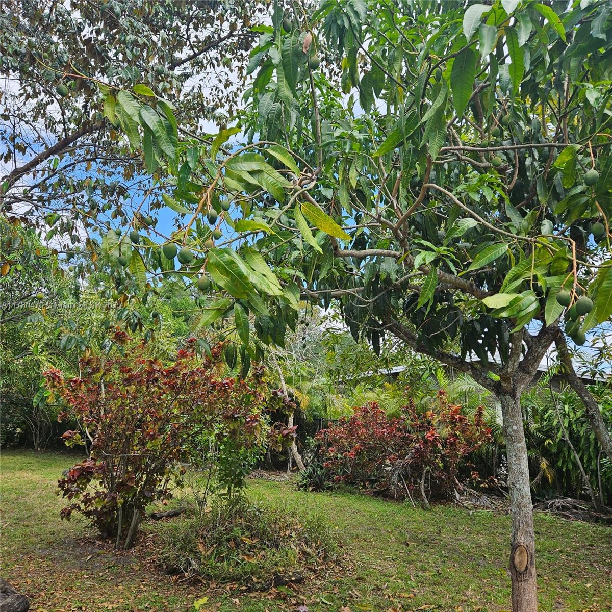 3950 SW 53rd Ave, Davie, Florida image 19