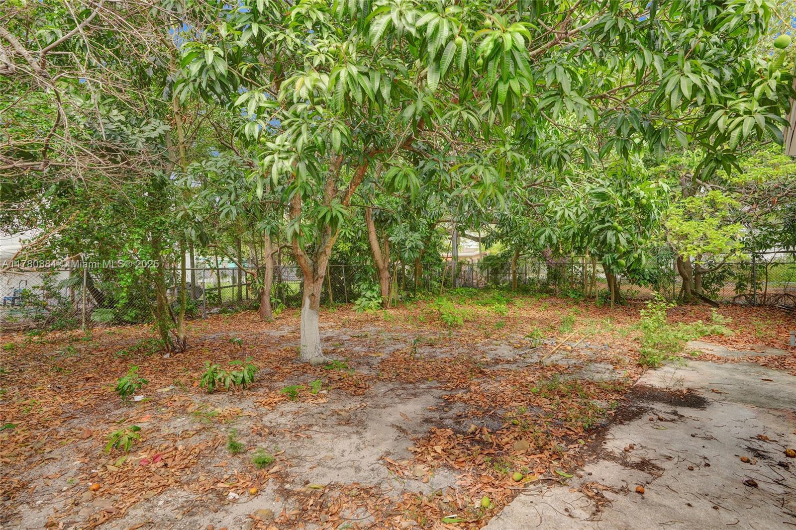 265 NW 135th St, North Miami, Florida image 29