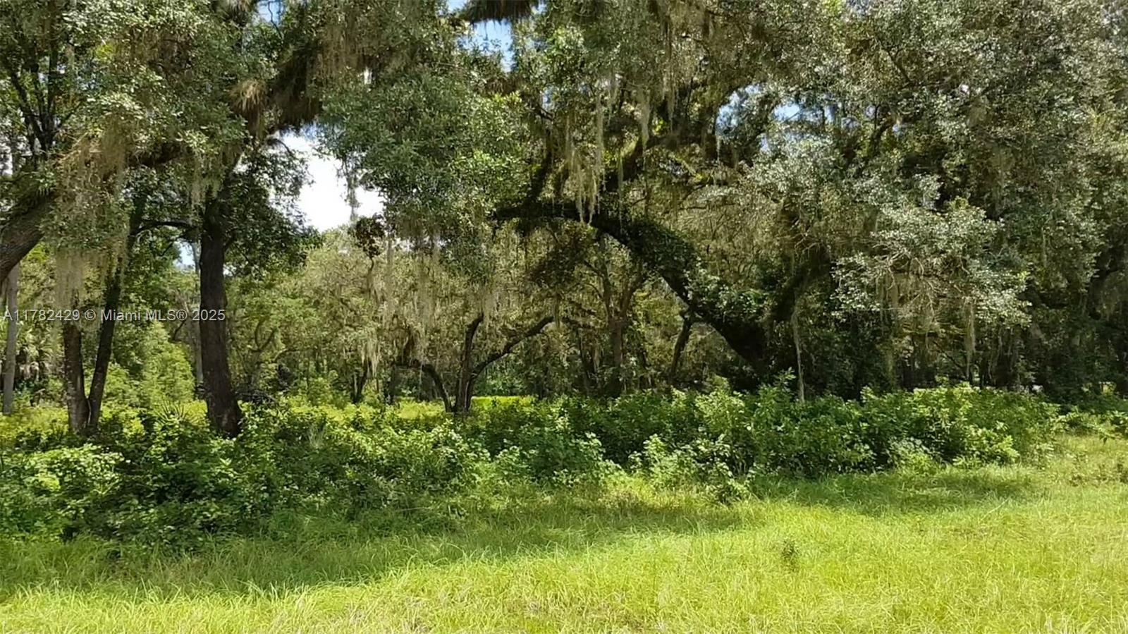 3450 Se Hwy 464c, Ocala, Florida image 15