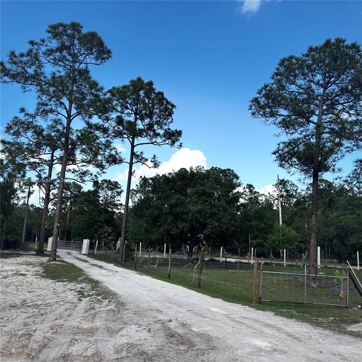 5120 Pioneer 10th St, Clewiston, Florida image 2