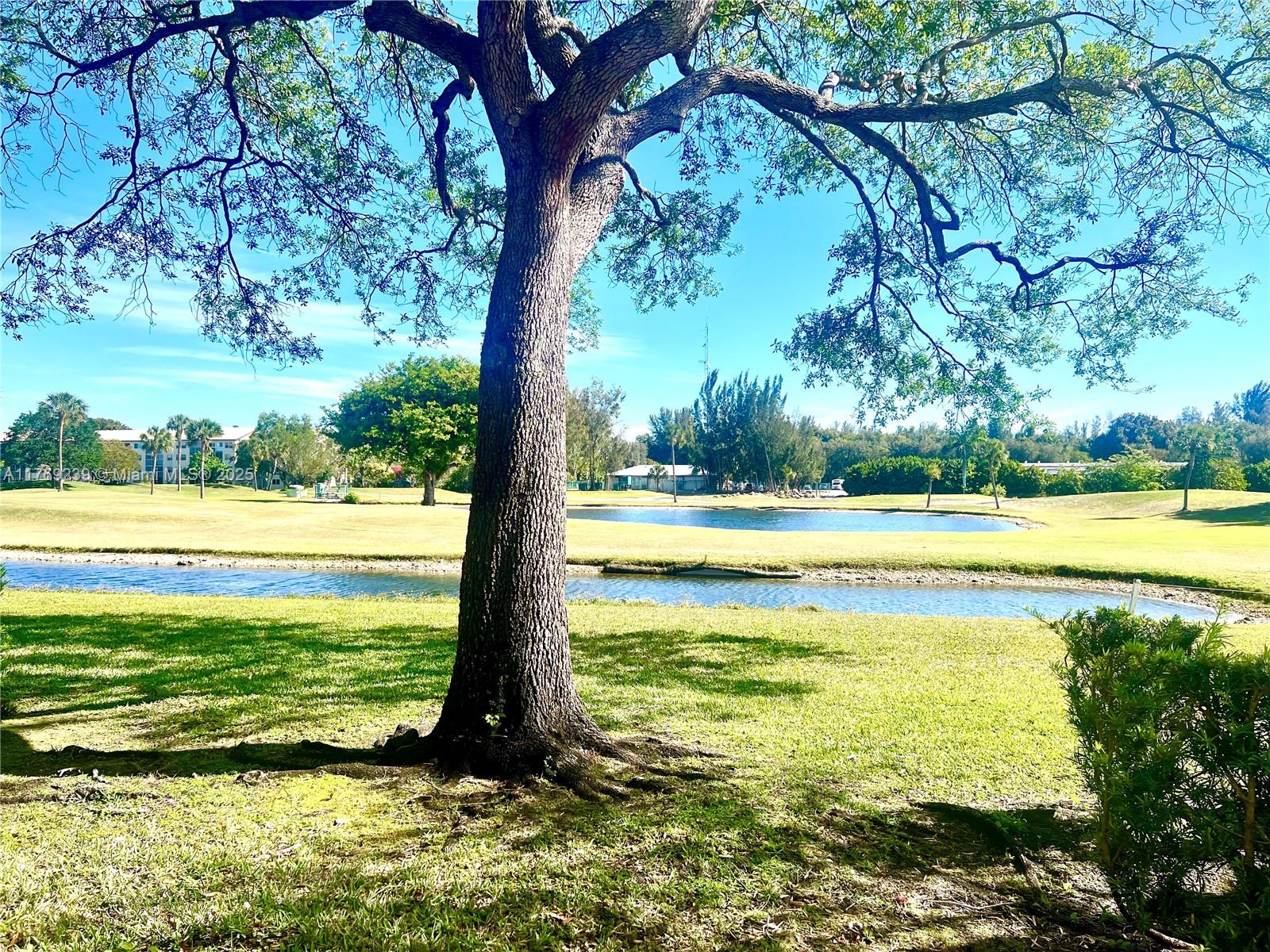 Residential, Pembroke Pines, Florida image 22