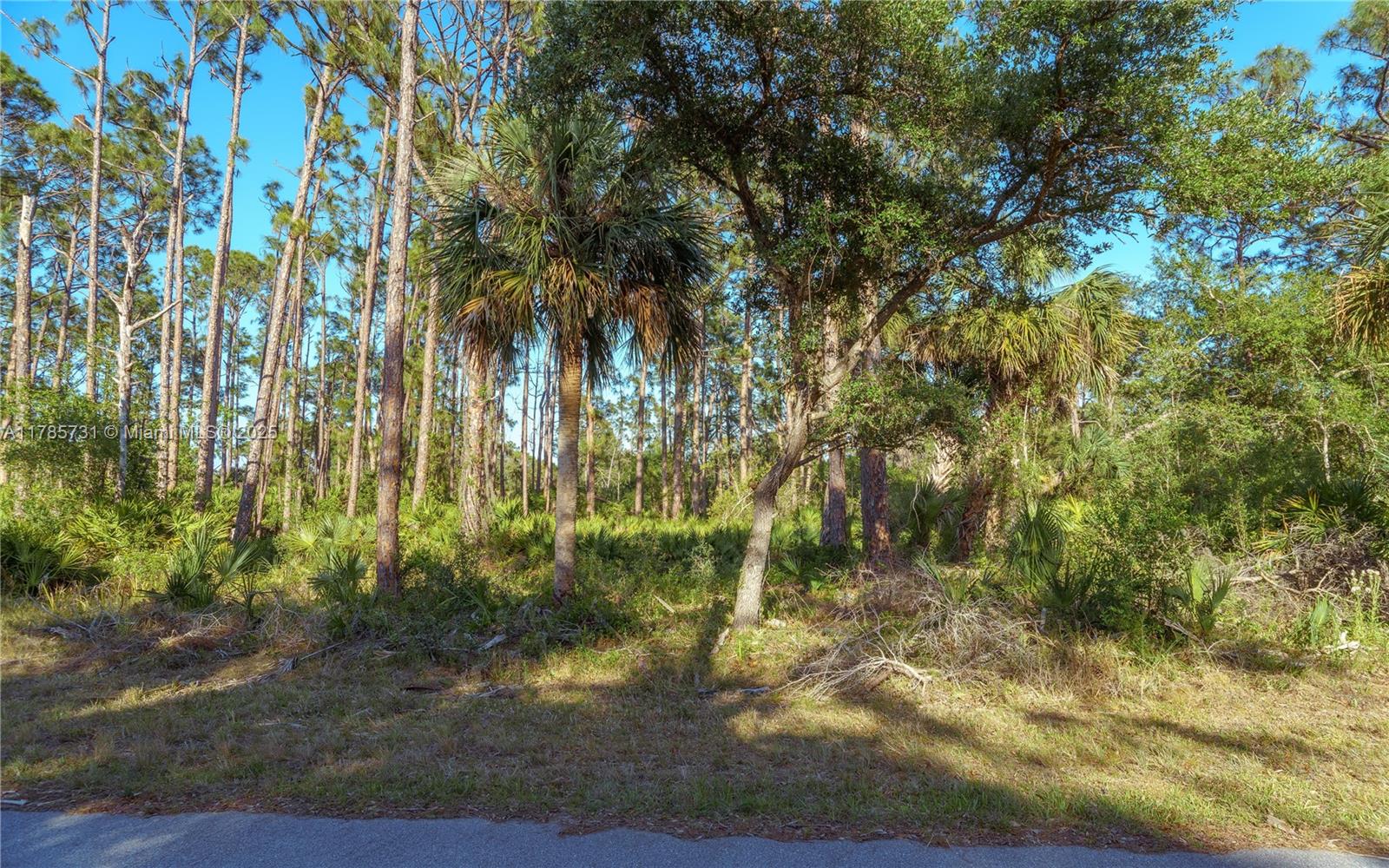 478 Olmstead St, Port Charlotte, Florida image 5