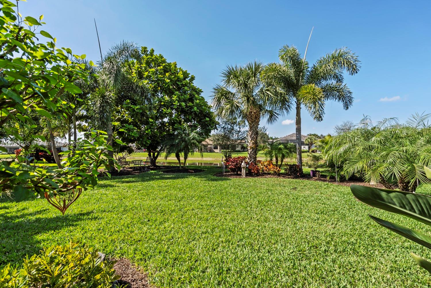 5461 Katia, Ave Maria, Florida image 35