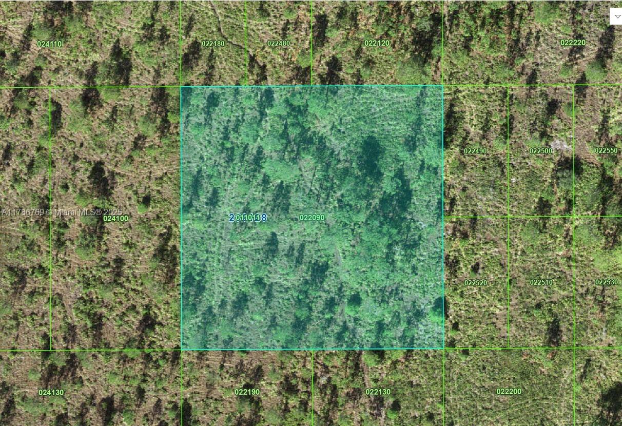 Land, Frostproof, Florida image 1