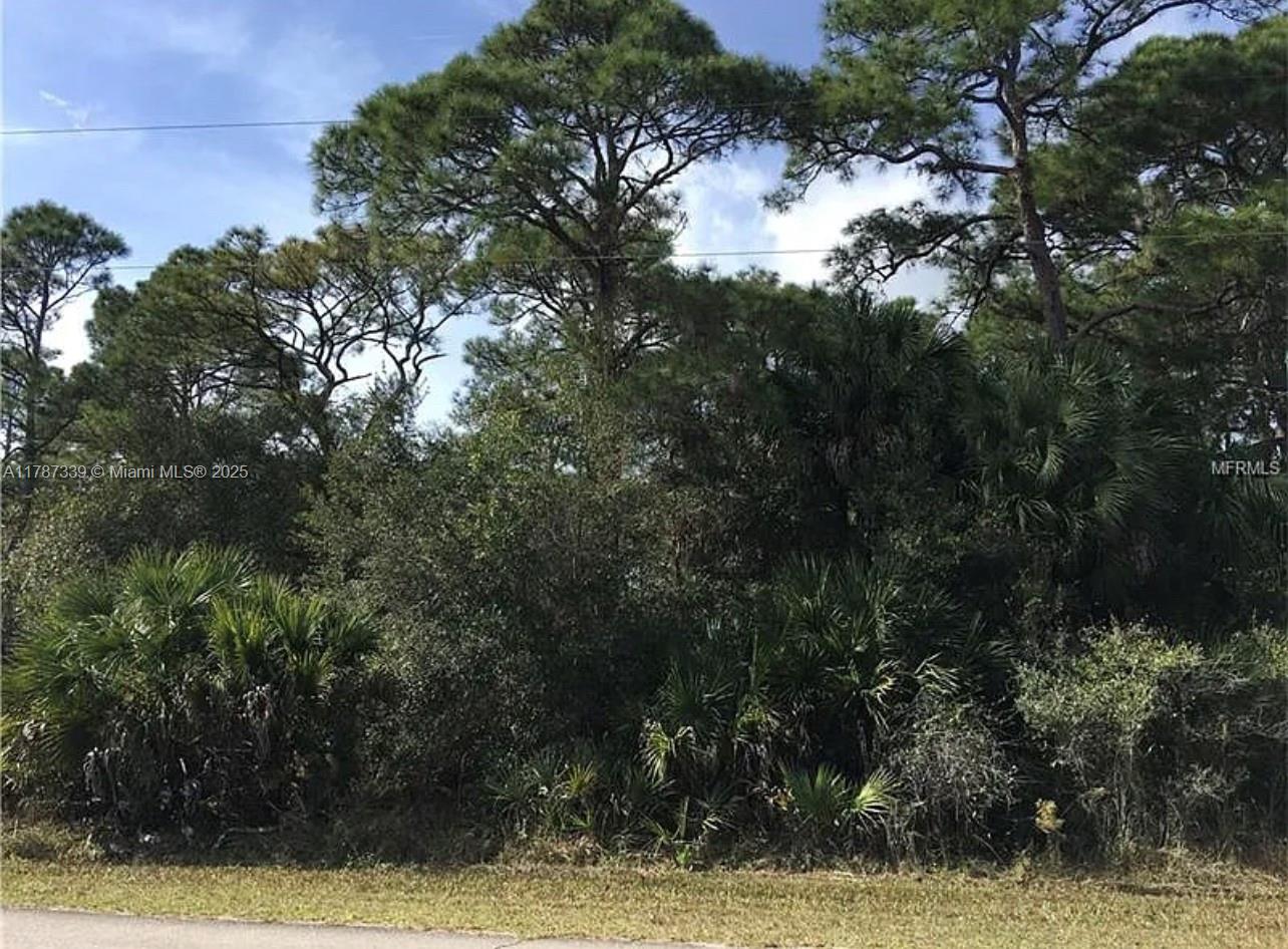 Land, Port Charlotte, Florida image 2
