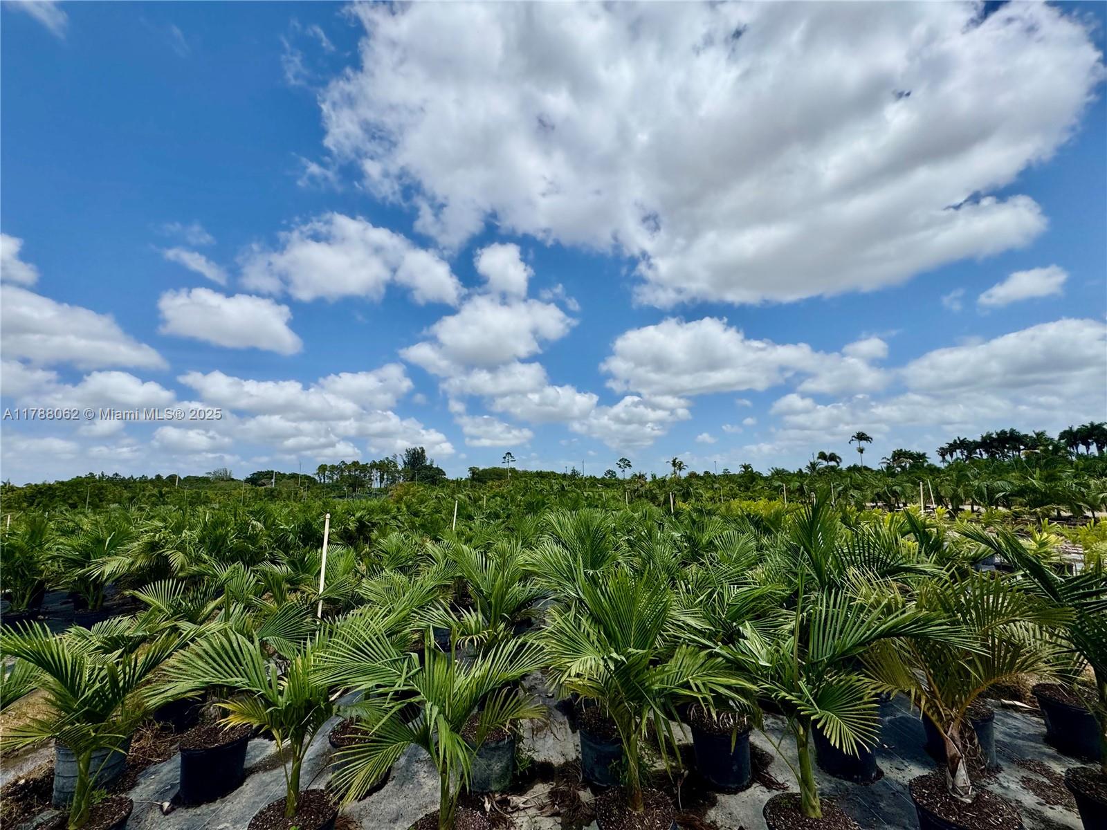 32802 SW 202 Ave, Homestead, Florida image 9