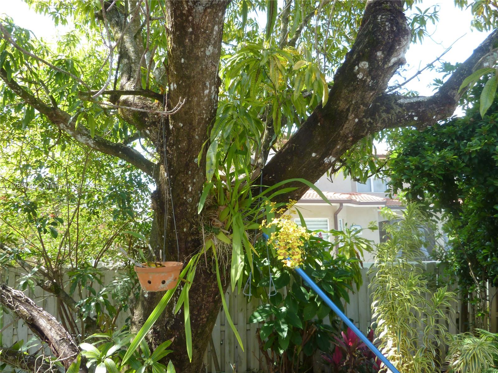 Listing Photo 42