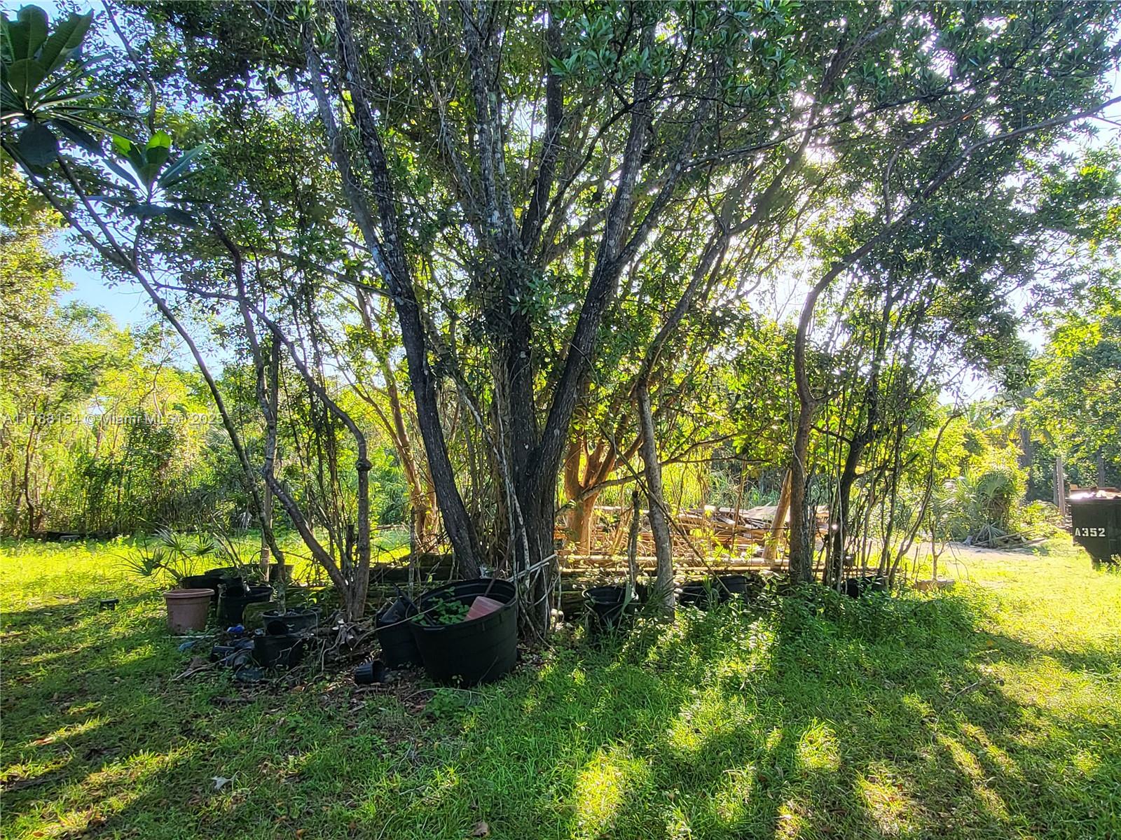 30809 SW 214th Ave, Homestead, Florida image 6