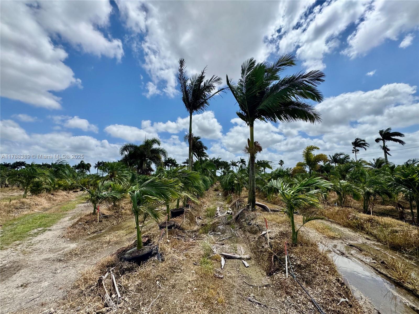 32802 SW 202 Ave, Homestead, Florida image 8