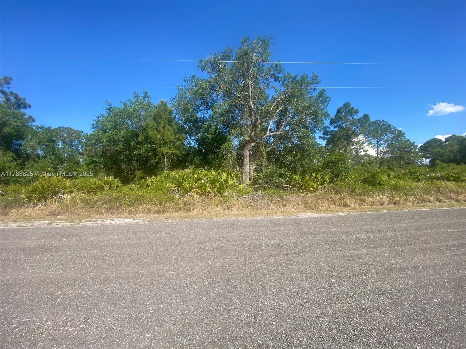 565 S Jasmine Street, Clewiston, Florida image 1