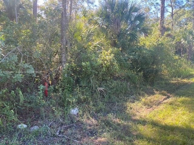 Shady Hollow Blvd E, Naples, Florida image 6