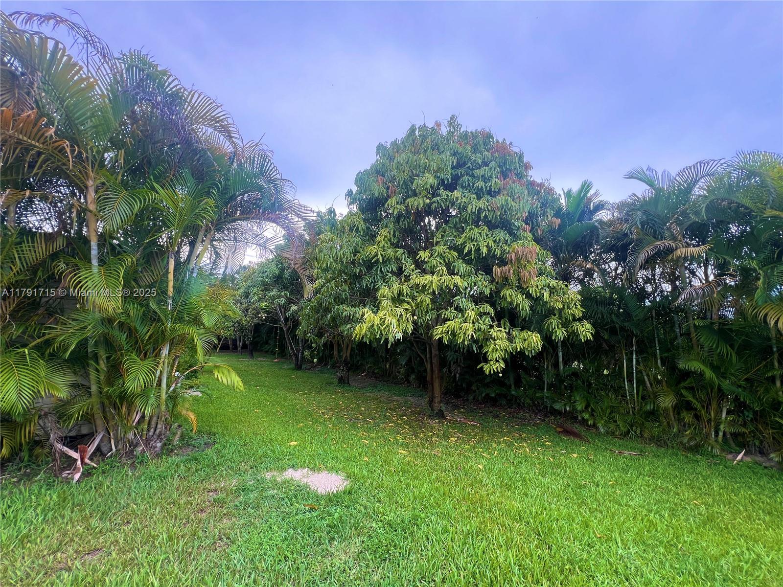 14051 SW 15th Ct, Davie, Florida image 21