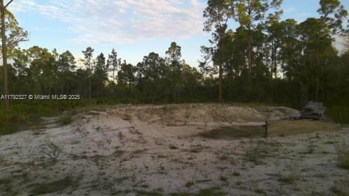 845 Appaloosa Avenue, Clewiston, Florida image 1