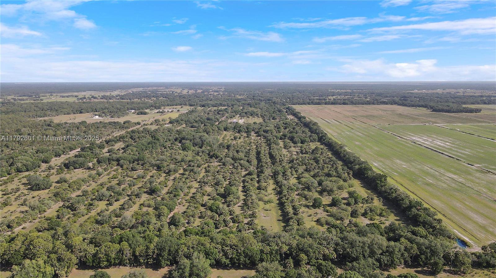 26714 Martin Hwy, Okeechobee, Florida image 20